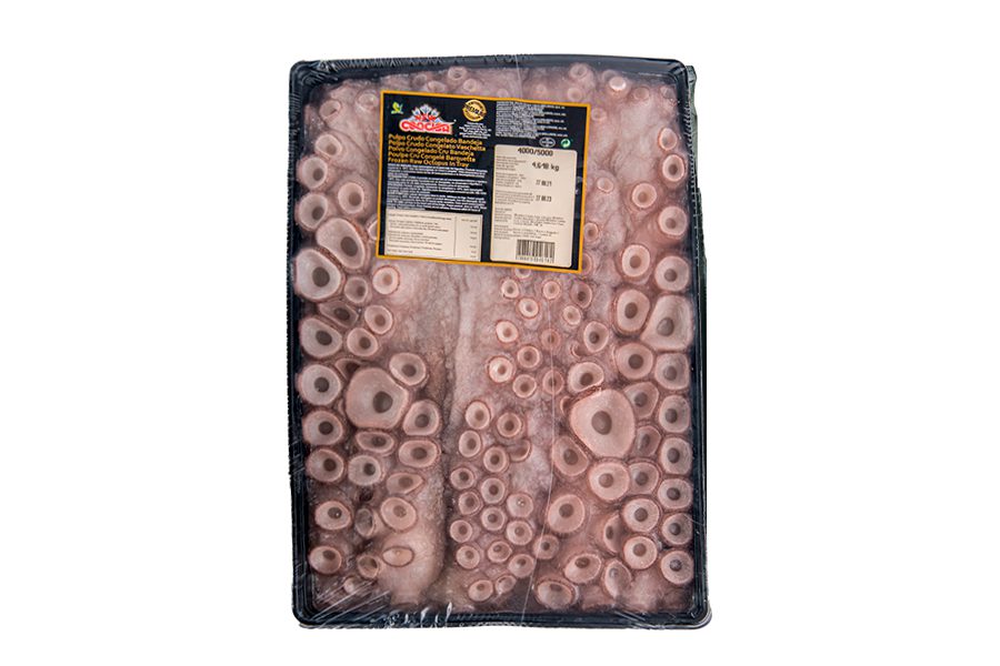 Kolkrabbi heill / Octopus 2000/3000